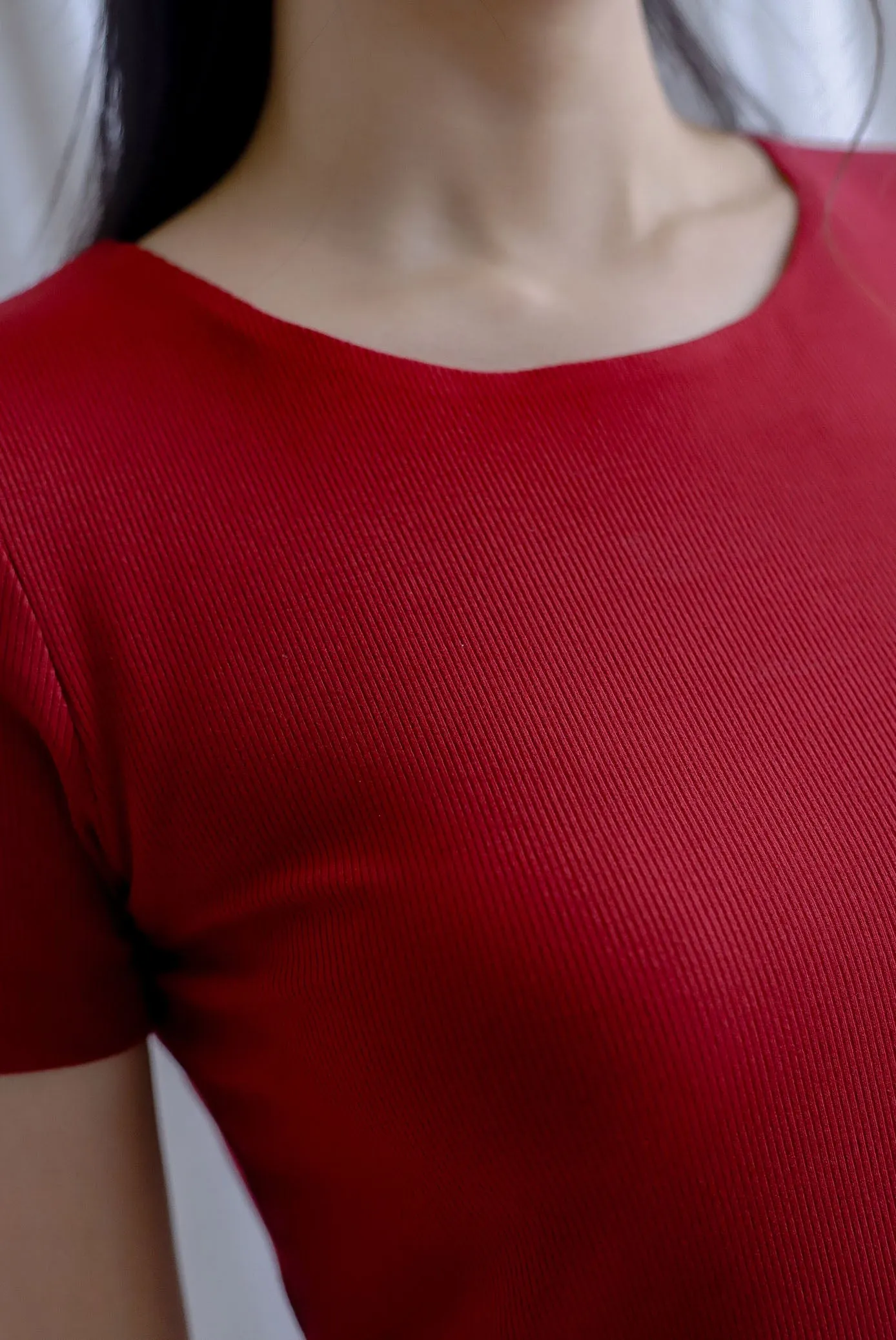 Branca Sleeved Ribbed Top In Wine Red