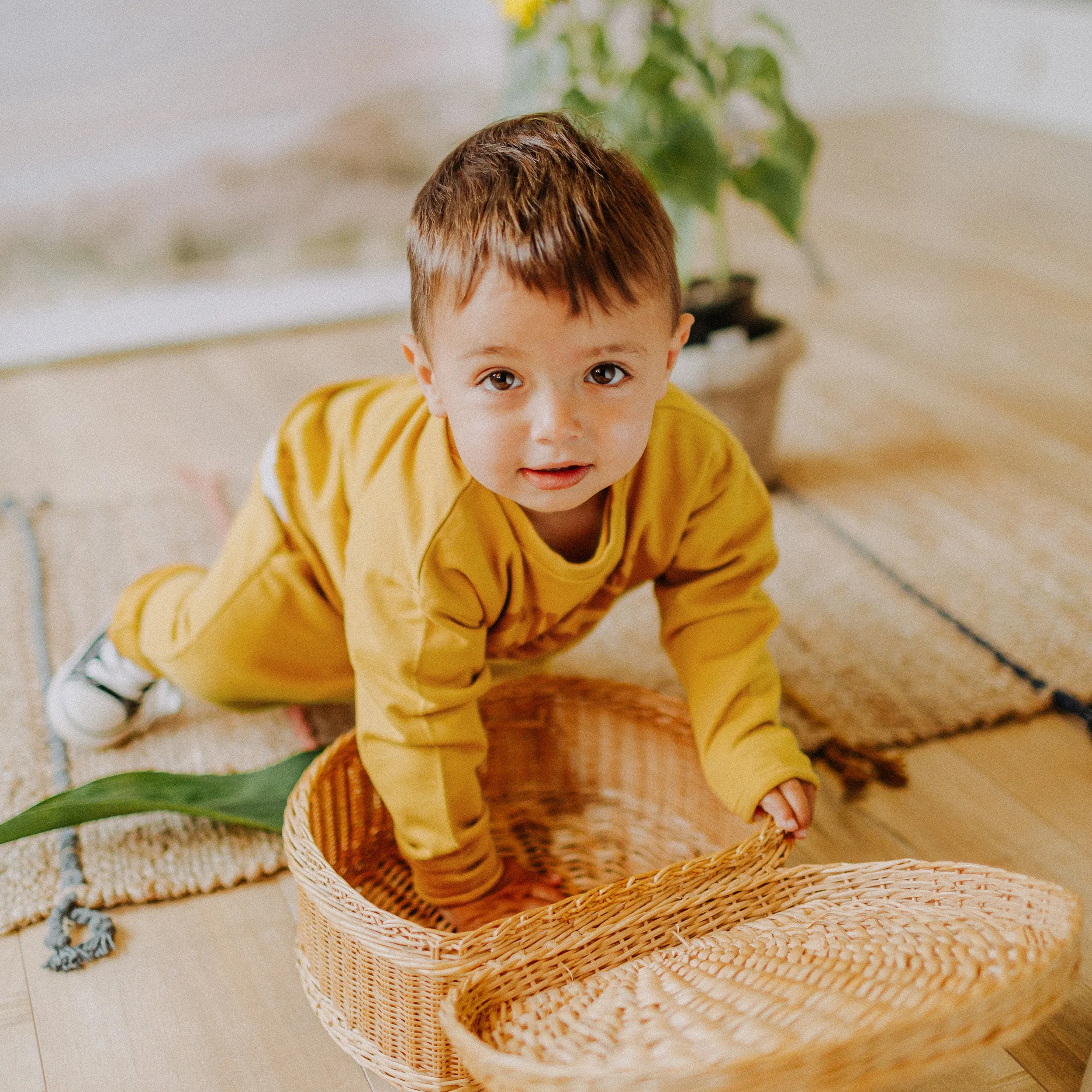 Chandail moutarde à manches longues en coton français, bébé  || Mustard long sleeves shirt in french terry, baby
