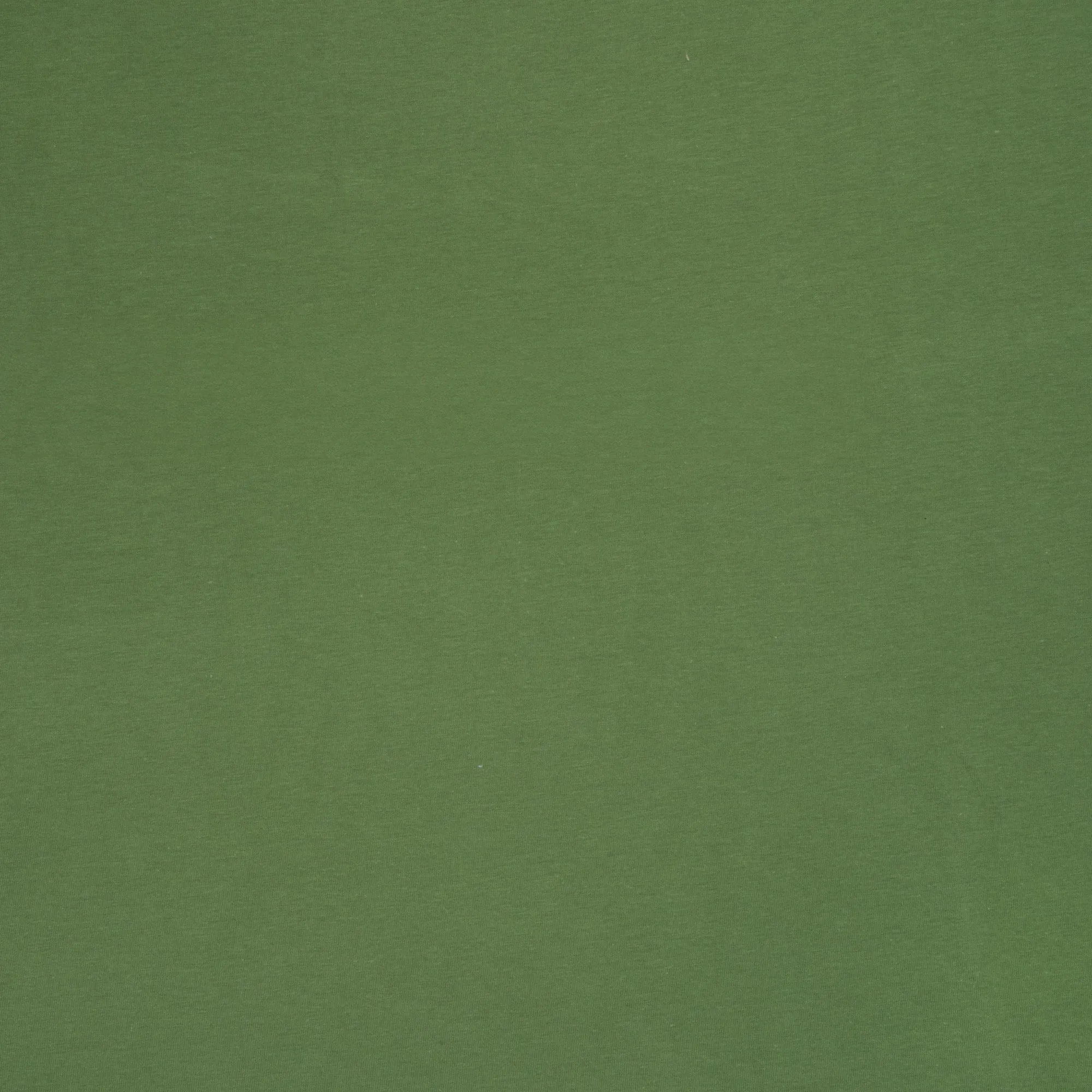 Cotton Knit Plain Fern Green