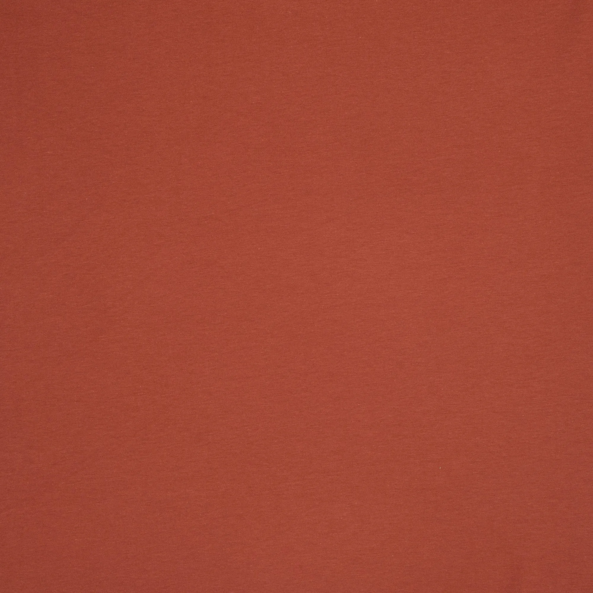 Cotton Knit Plain Rust
