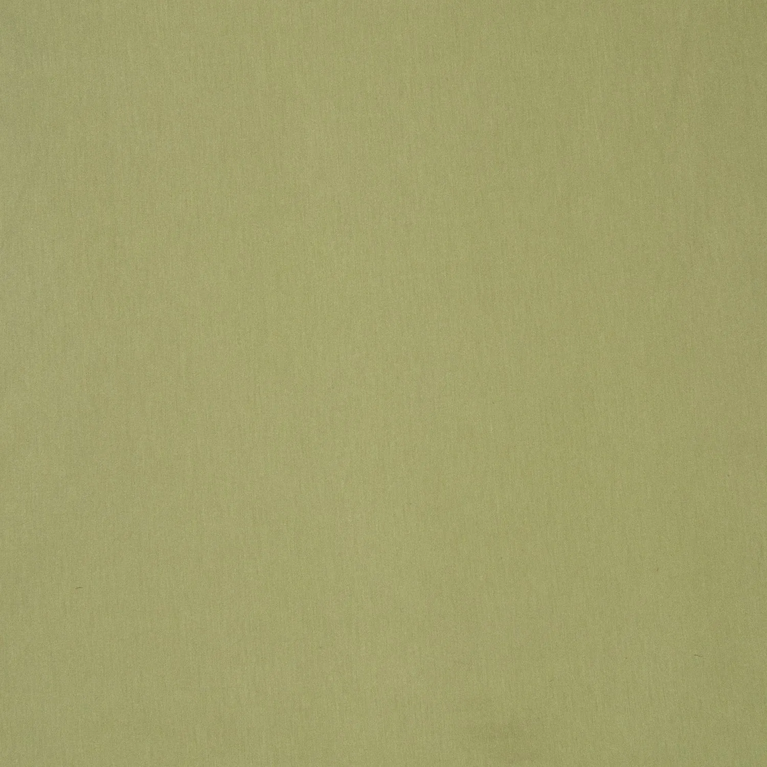 Cotton Knit Sage