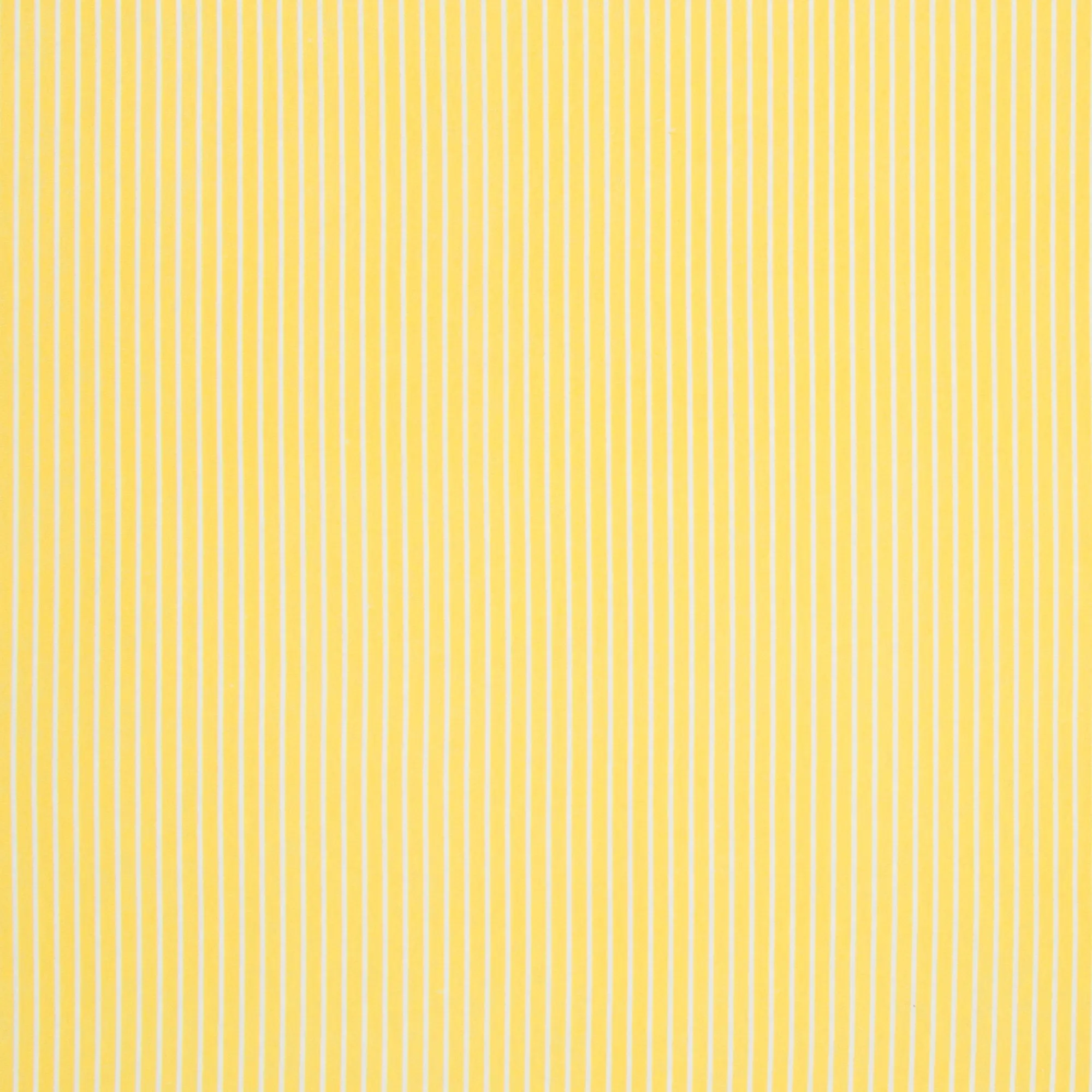 Cotton Knit Yellow / White Stripe