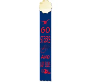 Custom Metallic 3" x 16" Super Ribbon