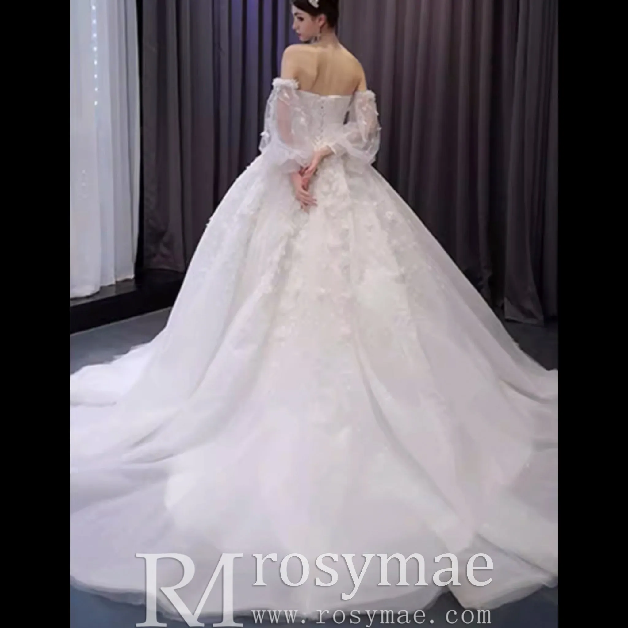 Gorgeous Puffy Ball Gown Wedding Dress with Detachable Long Sleeve