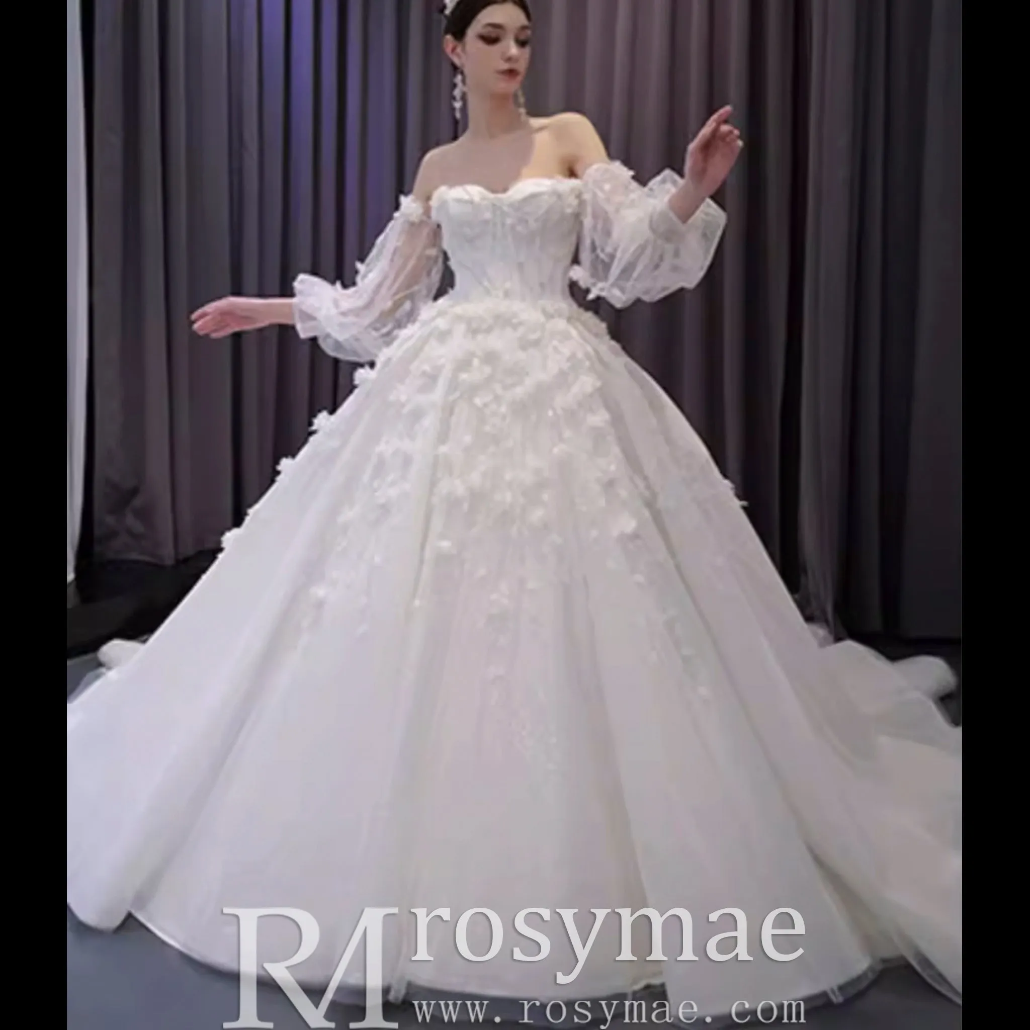 Gorgeous Puffy Ball Gown Wedding Dress with Detachable Long Sleeve