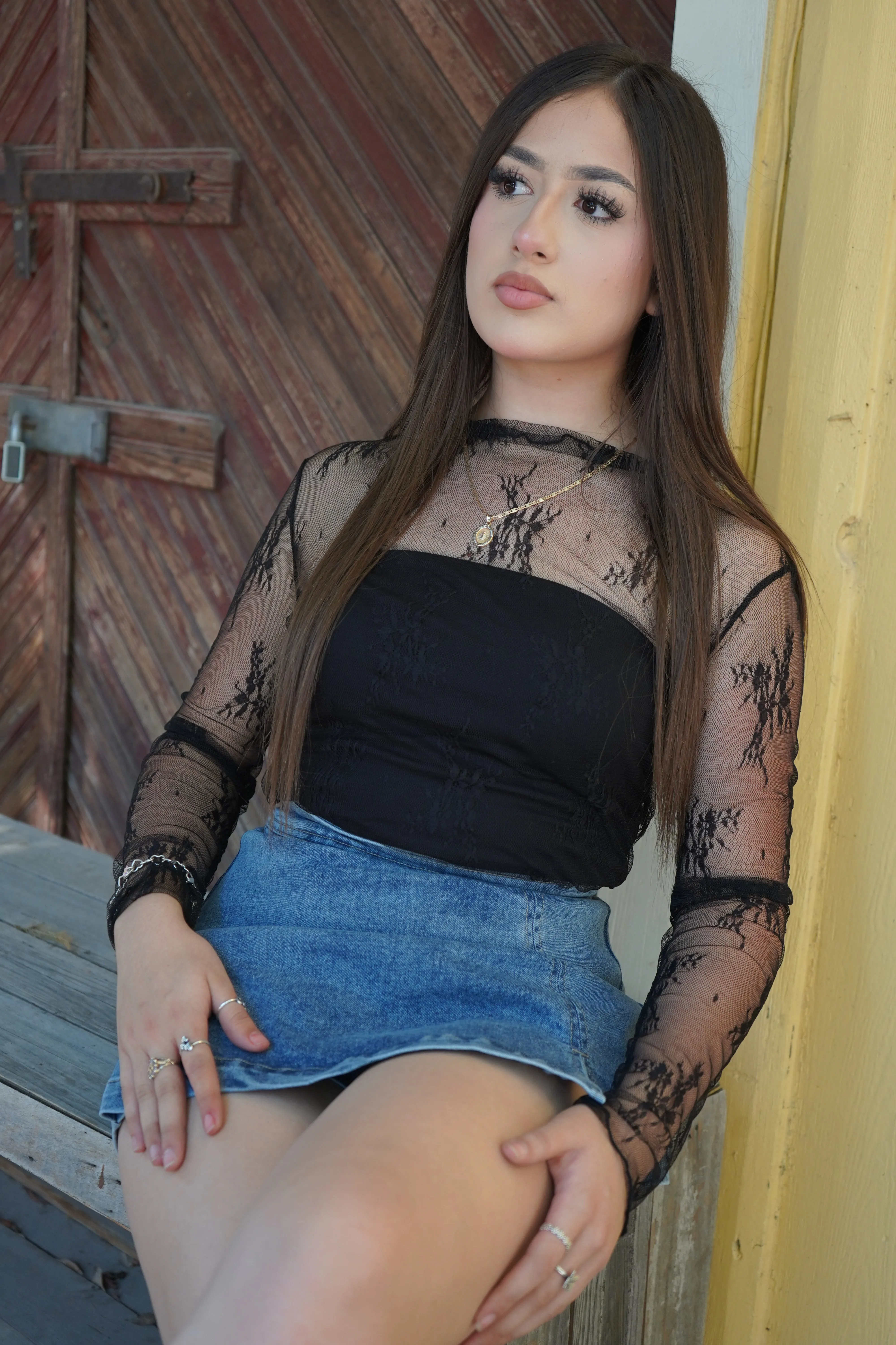 Kendal Lace Sheer Long Sleeve Top